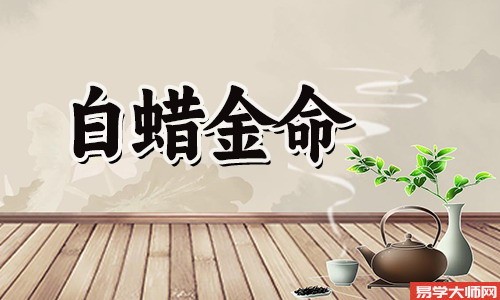 白蜡金命做什么行业比较旺?