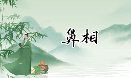 哪种鼻子蕞有福气?