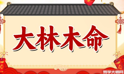 大林木命的人,财运如参天古树