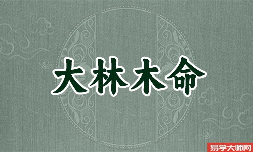 出生在1988年的属龙人来说,他们是大林木命吗?