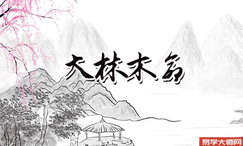 大林木命被什么命克?