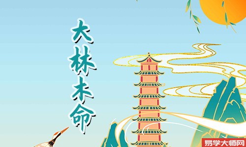 大林木命的男人是不是好命呢?