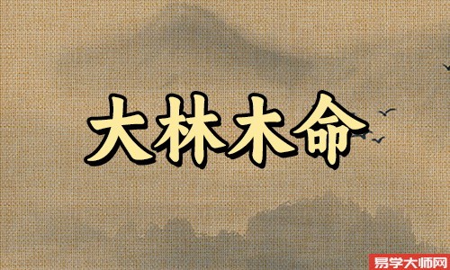 木命土命不相克,己巳大林木命,一生都有贵人相助
