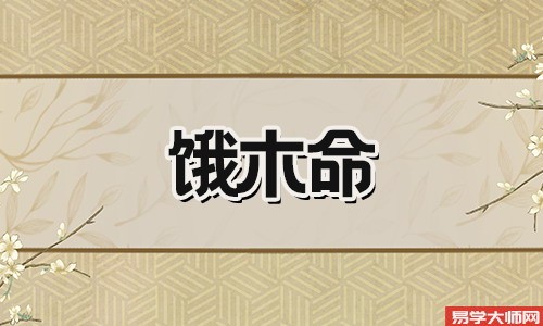 饿木命的人适合佩戴什么?