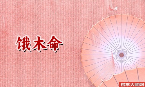 饿木命的人有哪些幸运数字?