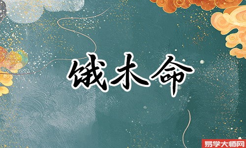 饿木人忌讳什么,饿木命人适合做什么