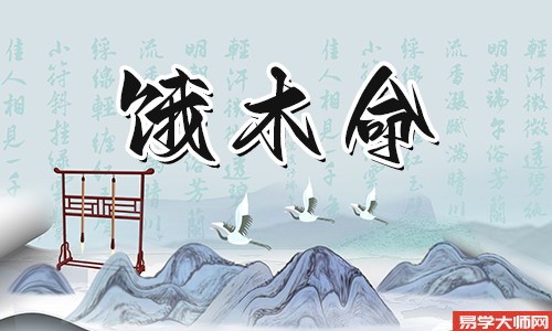 饿木命人如何转运,该如何养花草?