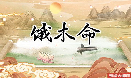 饿木命的人适合从事什么职业?