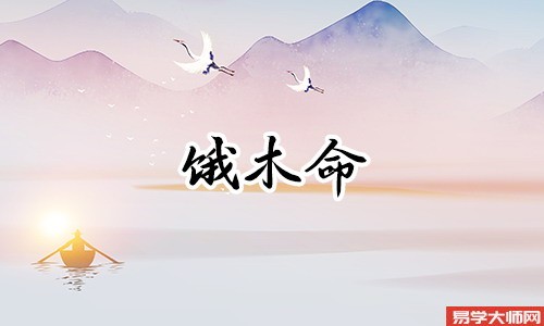 饿木命人是什么意思,有何特征