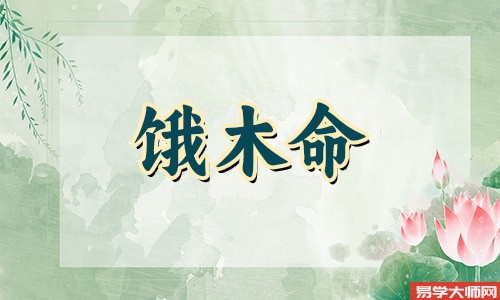 饿木命的人适合做什么行业,你知道么?