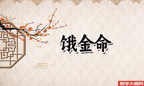 饿金命的人,话语权很弱,一生的运势好吗?