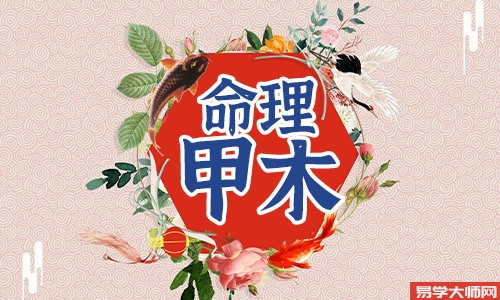 甲木才高善经商,上等日柱的运势