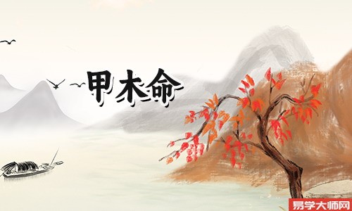 十大天干中,属木的有两个,甲木命是什么意思