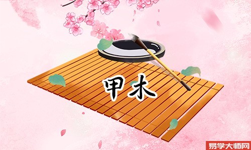 辰土为甲木偏财,日柱五行分析