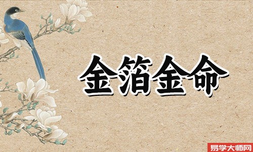 金箔金命的人是比肩格吗?