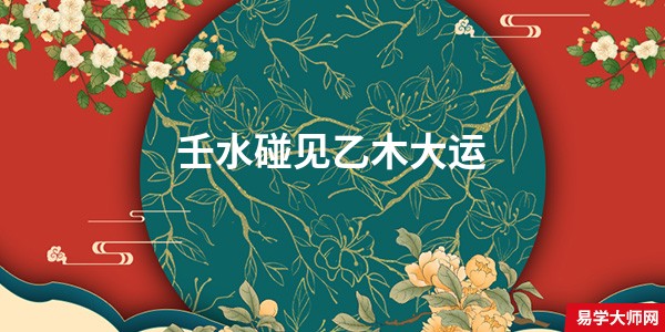 壬水碰见乙木大运