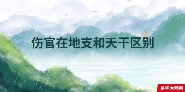 伤官在地支和天干区别