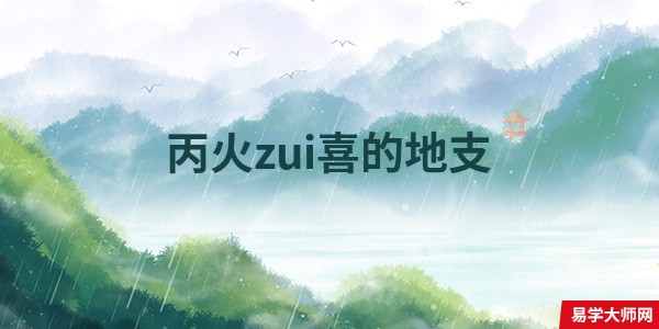 丙火zui喜的地支