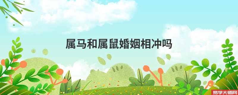 属马和属鼠婚姻相冲吗  属马人和属鼠人能过一辈子吗