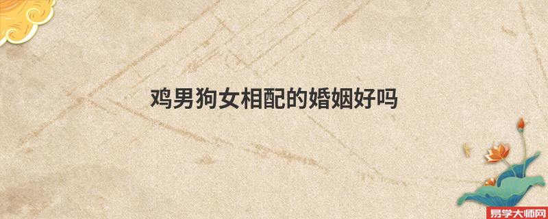 鸡男狗女相配的婚姻好吗
