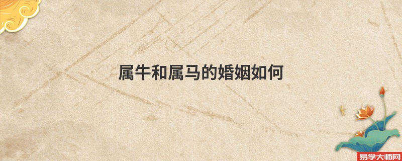 属牛和属马的婚姻如何 会吵架吗？