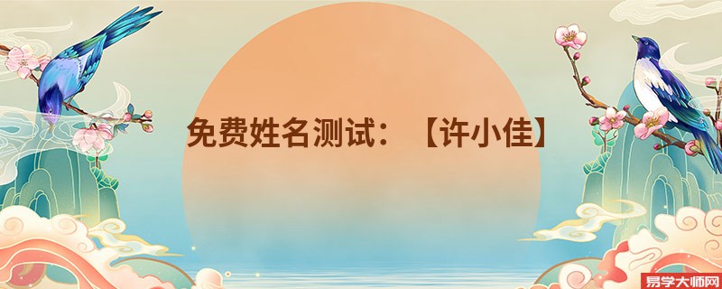 免费姓名测试：【许小佳】
