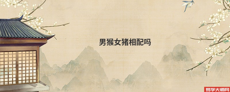 男猴女猪相配吗
