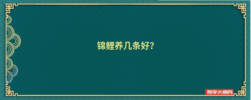 锦鲤养几条好?