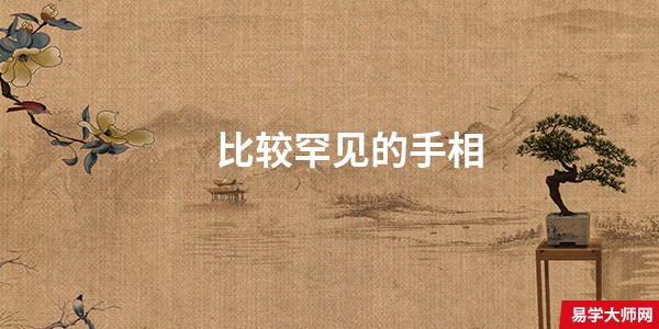 比较罕见的手相