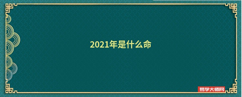 2021年是什么命