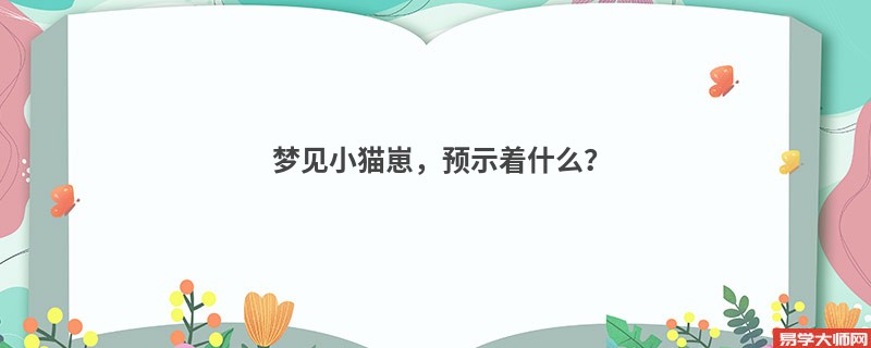梦见小猫崽，预示着什么？