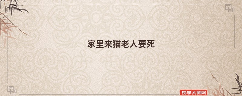 家里来猫老人要死
