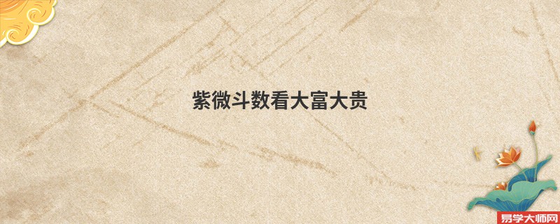 紫微斗数看大富大贵