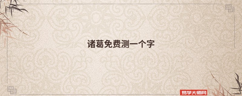 诸葛免费测一个字