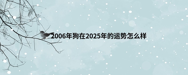 2006年狗在2025年的运势怎么样