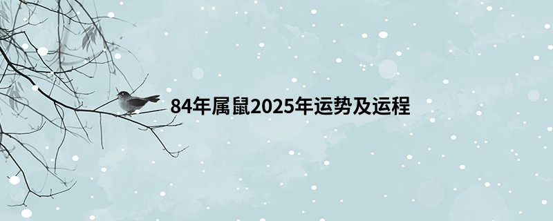 84年属鼠2025年运势及运程