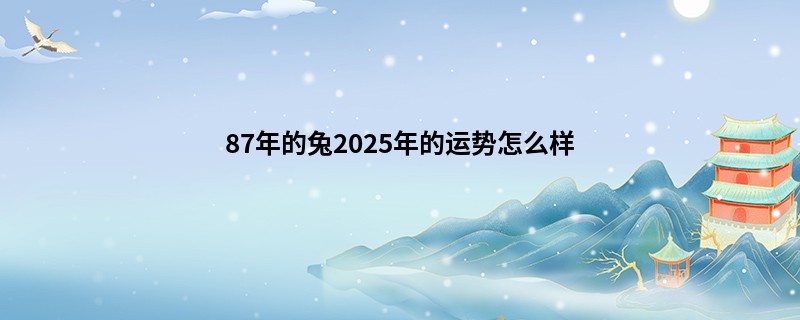 87年的兔2025年的运势怎么样