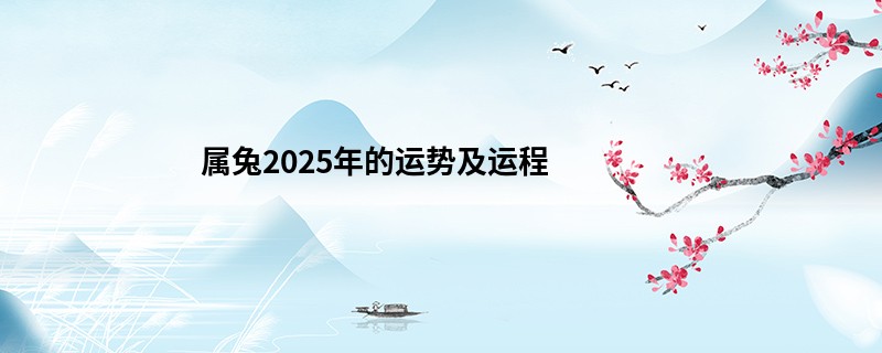 属兔2025年的运势及运程