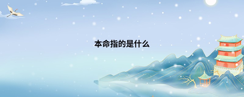 本命指的是什么