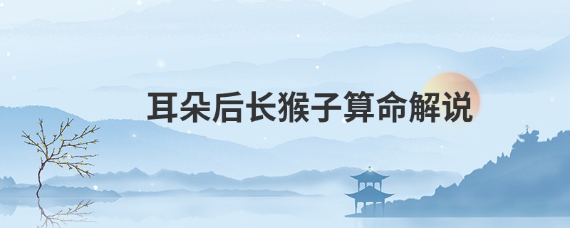 耳朵后长猴子算命解说
