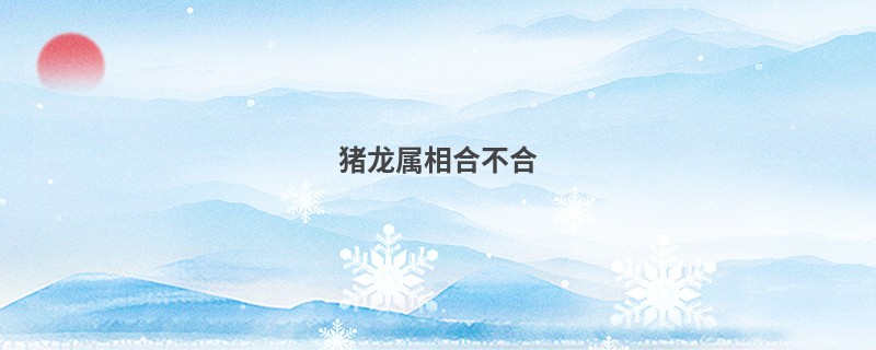 猪龙属相合不合