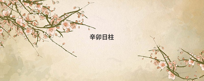 辛卯日柱