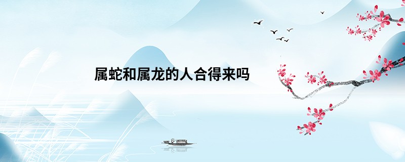 属蛇和属龙的人合得来吗