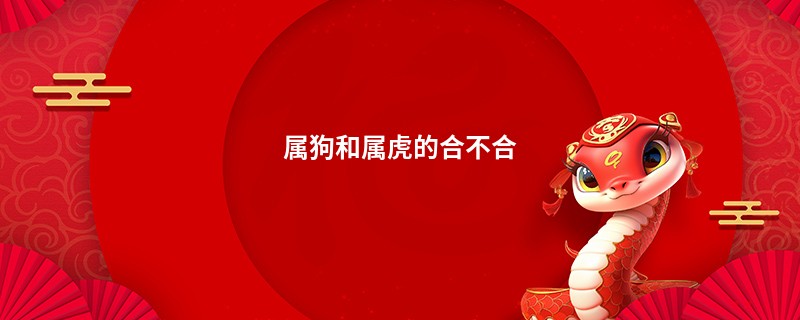 属狗和属虎的合不合