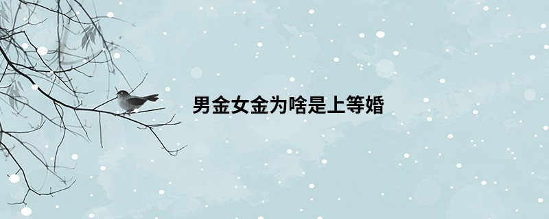 男金女金为啥是上等婚
