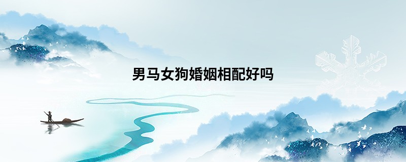 男马女狗婚姻相配好吗