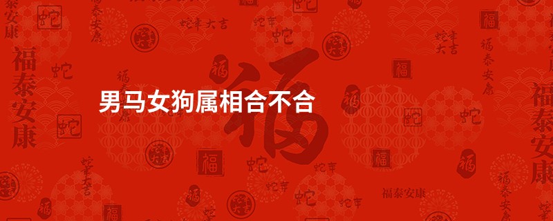 男马女狗属相合不合