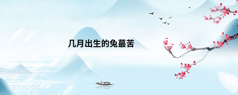 几月出生的兔蕞苦