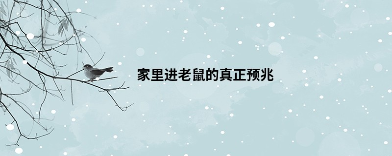 家里进老鼠的真正预兆