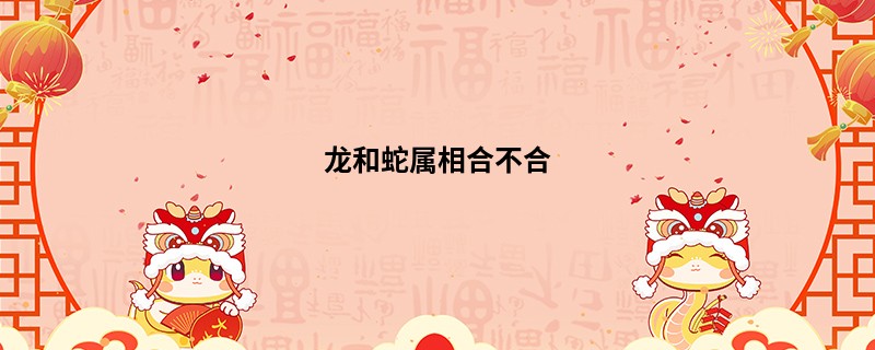 龙和蛇属相合不合